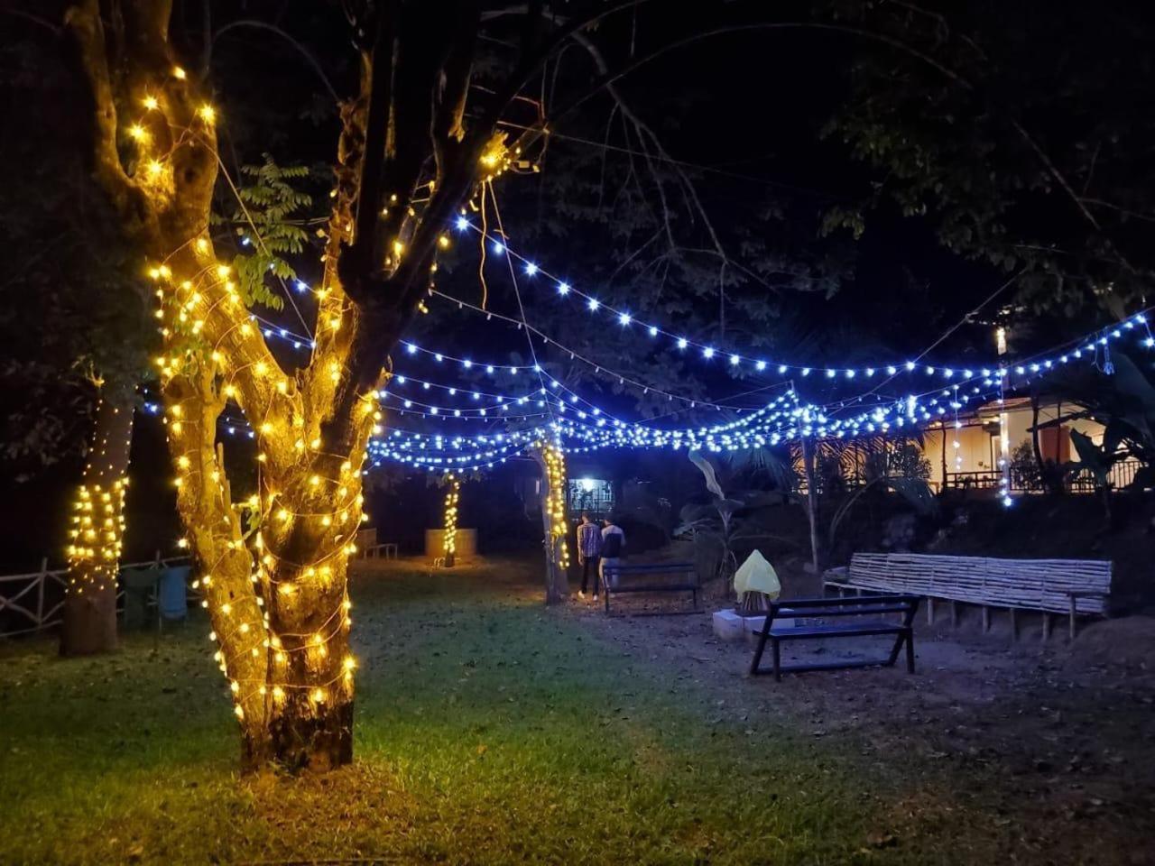 Casa Creek Aparthotel ไวทีรี ภายนอก รูปภาพ